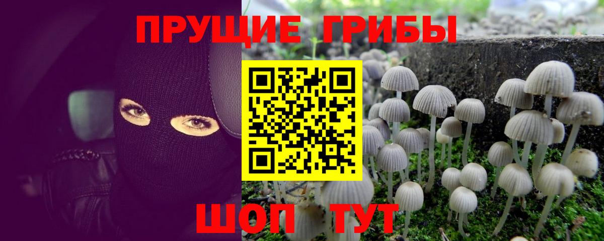 Галлюциногенные грибы GOLDEN TEACHER  Вход с VPN  Азнакаево 